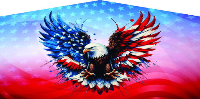 American Eagle custom banner for patriotic parties.