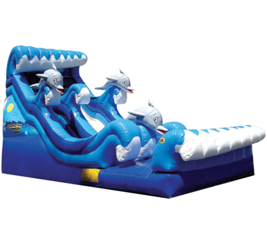Dolphin Slide (Dry Slide)