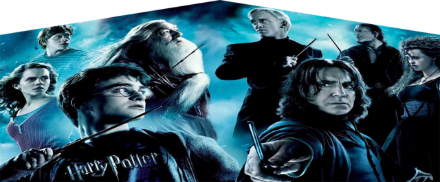 Harry Potter Banner-30