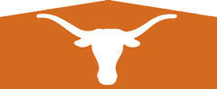 Longhorns Banner