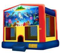 Under the Sea Bouncer