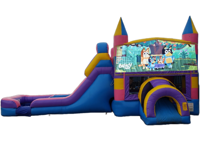 Bluey Pink Bounce House Combo