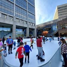 Ice Skating Rink (20′ X 40′)