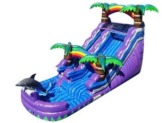 16ft Dolphin Water Slide
