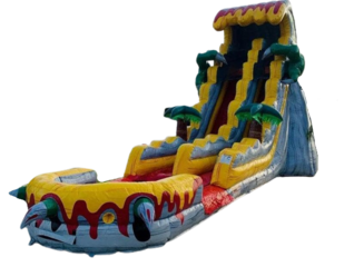 22ft Tall T Rex Water Slide w Pool