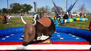 American Mechanical Bull