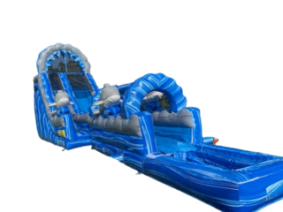20ft Blue Dolphin Water Slide