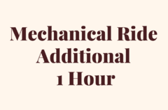 Mechanical Ride Additional 1 Hour