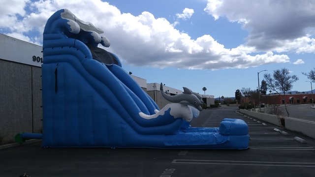 18' Dual Lane Dolphin super slide