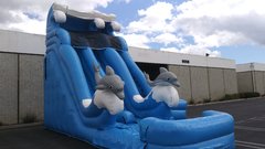 18' Dual Lane Dolphin Water Super Slide