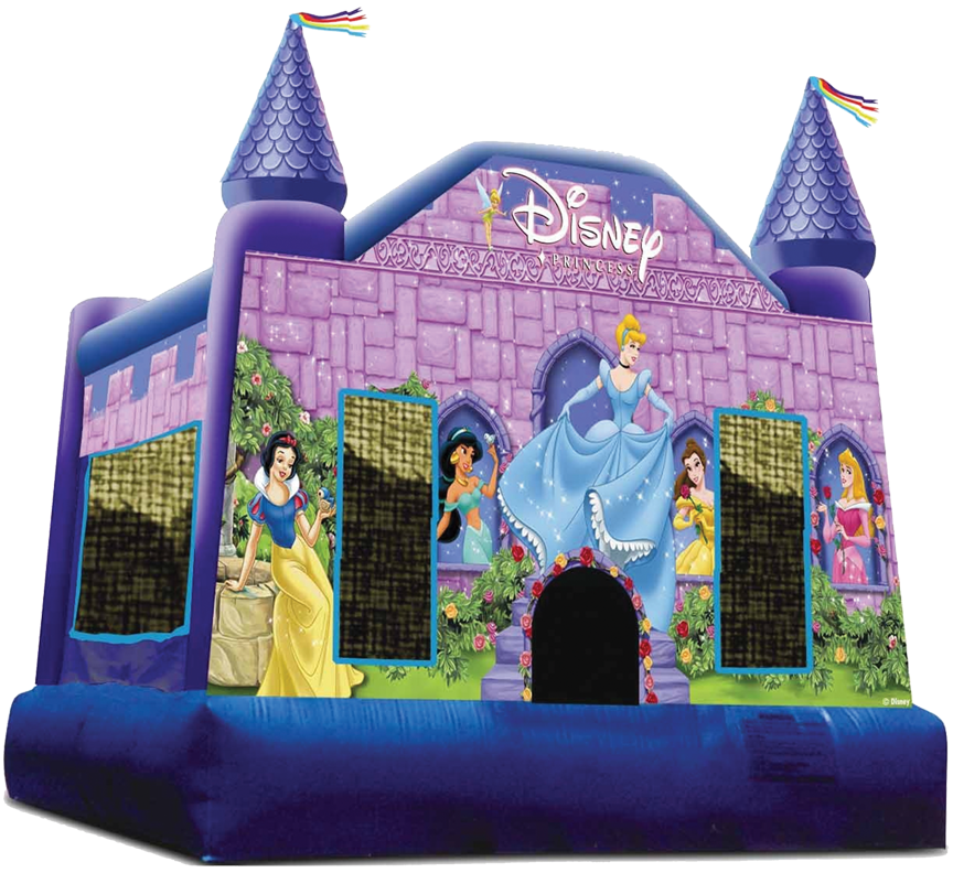 Disney Princess Deluxe from Awesome bounce of Michigan