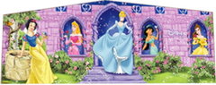 Disney Princess Panel  