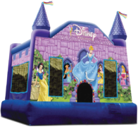 Disney Princess Deluxe