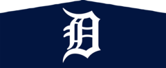Detroit Tigers Panel  