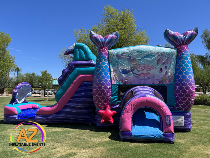Bounce House Rental Show Low 