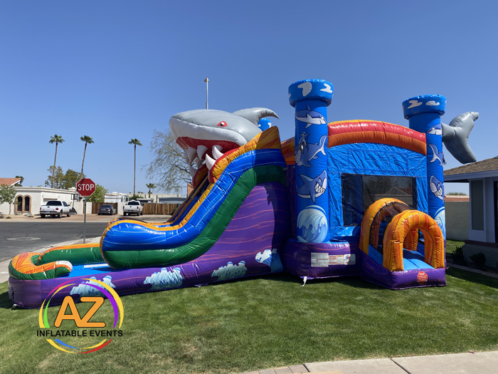 Bounce House Rental Show Low 