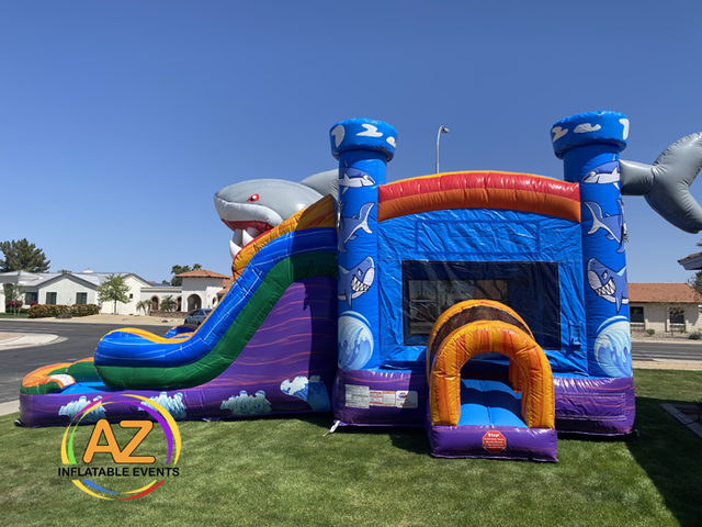 bounce house double slide