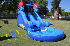 Little Fish Water Slide