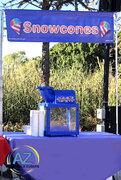 Snow Cone Booth