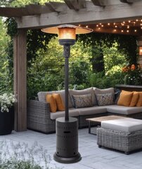 Patio Heater w/ Propane