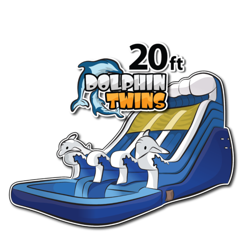 20 ft Double lane Dolphins water slide rental