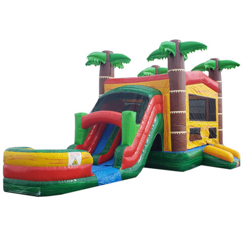 Tropical Dual Lane Combo Water Slide