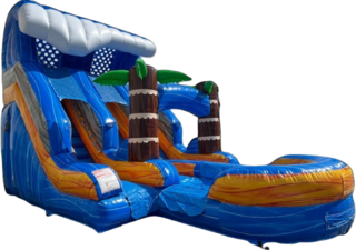 16ft Dual Lane Tidal Wave Dry Slide