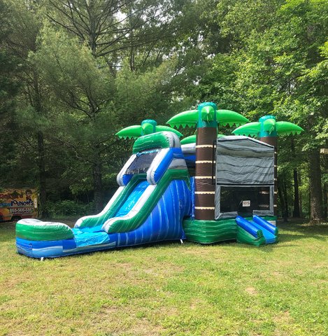 3D Tropical Bounce House/Water Slide Combo
