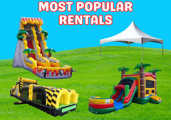 Most Popular Rentals