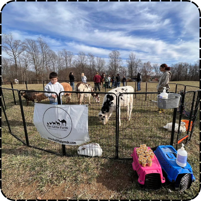 Kids enjoying pony rides at The Little Farm