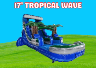 17' Tropical Wave