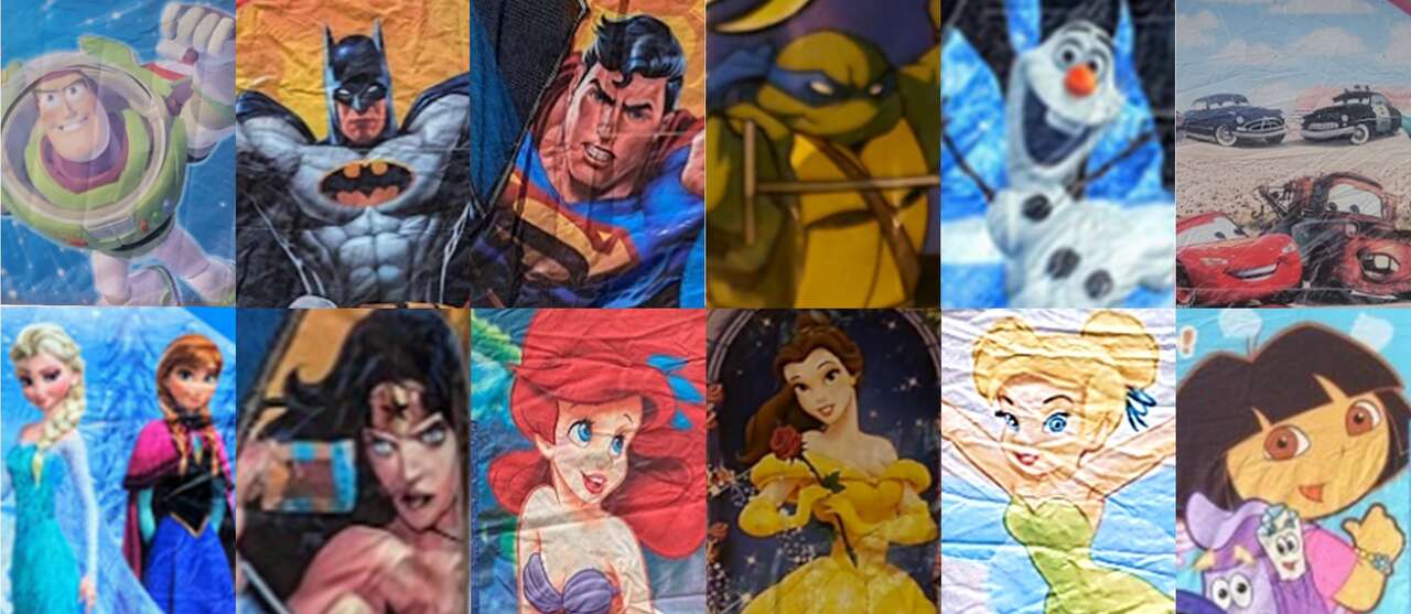 Licensed Bounce House Banner – Featuring Elsa, Buzz, Batman and More