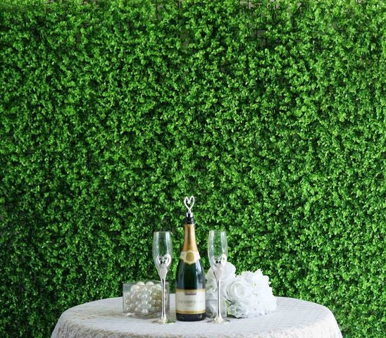 Boxwood Hedge Wall Backdrop
