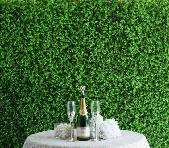 XL Boxwood Hedge Wall