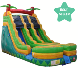 18' Dual Lane Slide