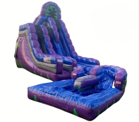 20' Purple Ice Dual Curved Slide