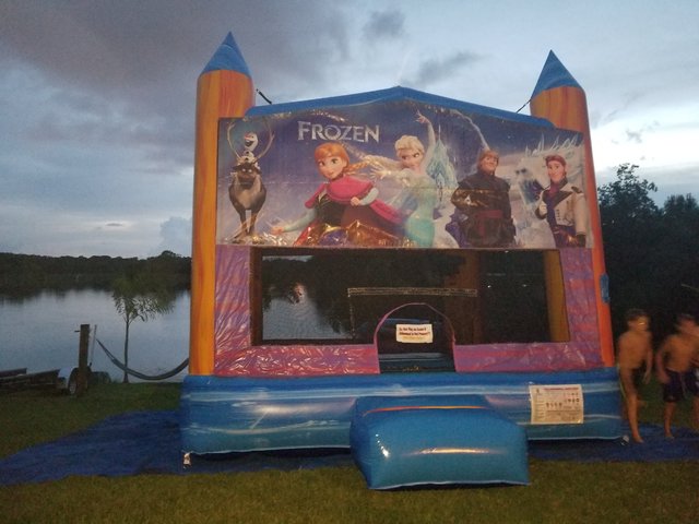 frozen castle 2 in 1