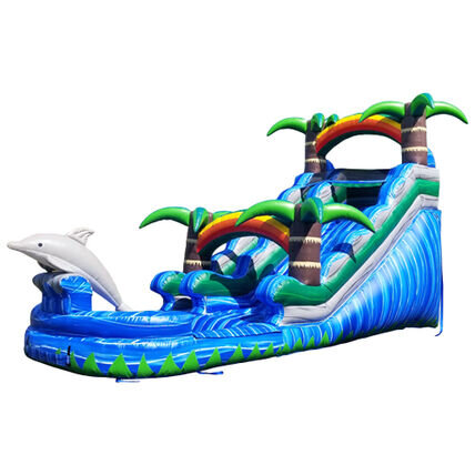 Tropical Dolphin Water Slide