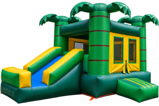 2 in 1 Tropical Bouncer 