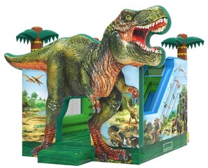 3D Dinosaur Jumpy House  Combo 