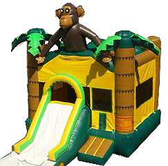 Monkey w/ Slide and BB Hoop