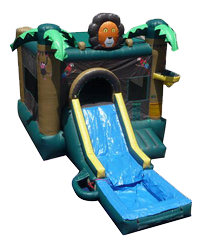 Lion Jump w/ Slide and BB Hoop with Water Tub