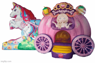 Princess Carriage Mini Combo