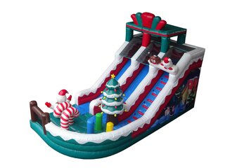 Two lane Christmas Slide