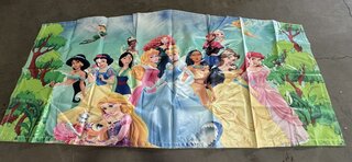 disney princess 1 panel