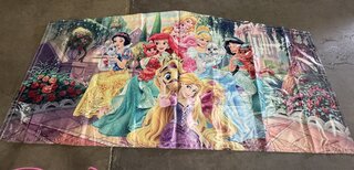 disney princess 2 panel