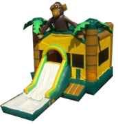 Monkey w/ Slide and BB Hoop and Water Tub