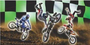 dirt bike panel