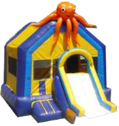 Octopus w/ Slide and BB Hoop