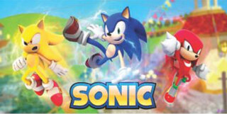 sonic 2 panel